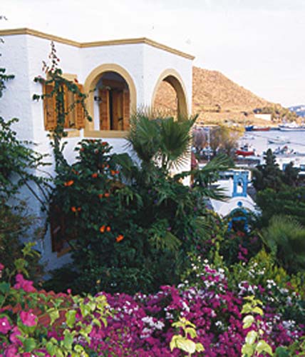 Patmos_Focas_Aparts_001