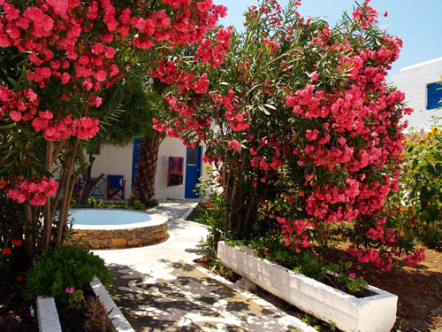 Cyc_Amorgos_NikkisStud_007